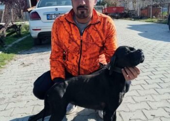 İzmir’de iş cinayeti: İZSU’da ihmal sonucu bir işçi hayatını kaybetti