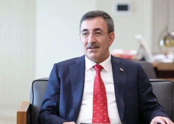 Cumhurbaşkanı Yardımcısı Cevdet Yılmaz, fon vurgunuyla ilgili tüm kurumların DDK tarafından incelendiğini belirtti